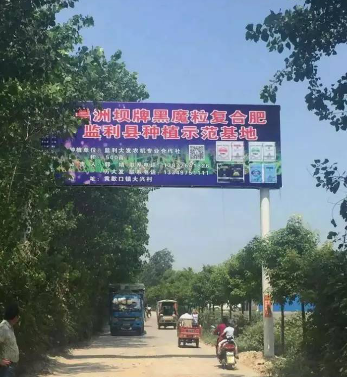 黑魔粒监利种植示范基地 黑魔粒监利种植示范基地