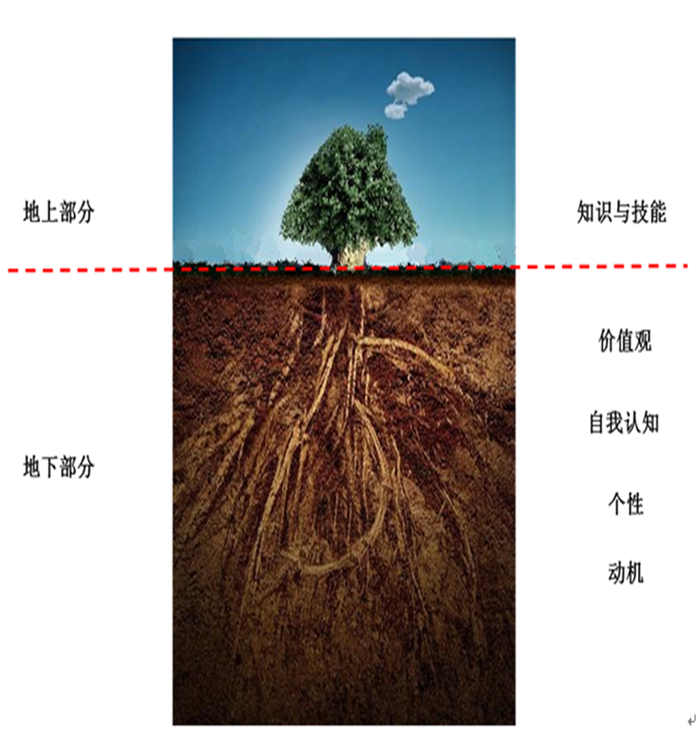 远东营销经理大树素质模型 远东营销经理大树素质模型